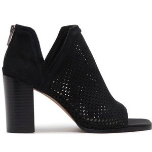 Vince Camaro Katnina